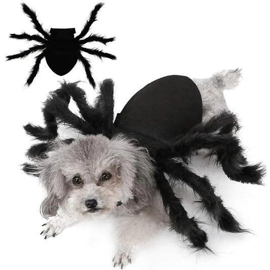 Spider Costume for Pets - BelleHarris