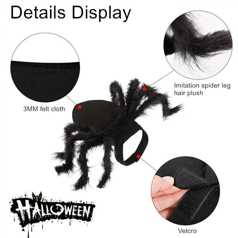 Spider Costume for Pets - BelleHarris