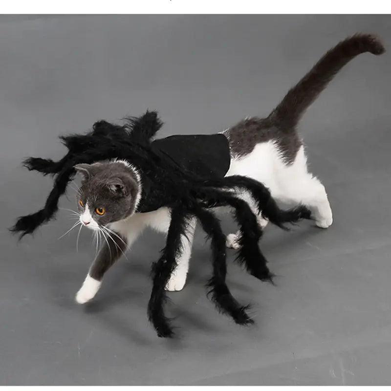 Spider Costume for Pets - BelleHarris