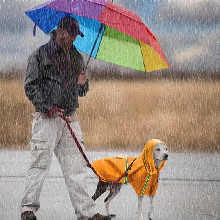 Spring and Summer Dog Raincoat - BelleHarris