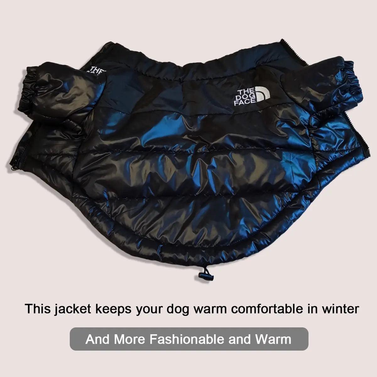 Warm Windproof Winter Dog Clothes - BelleHarris