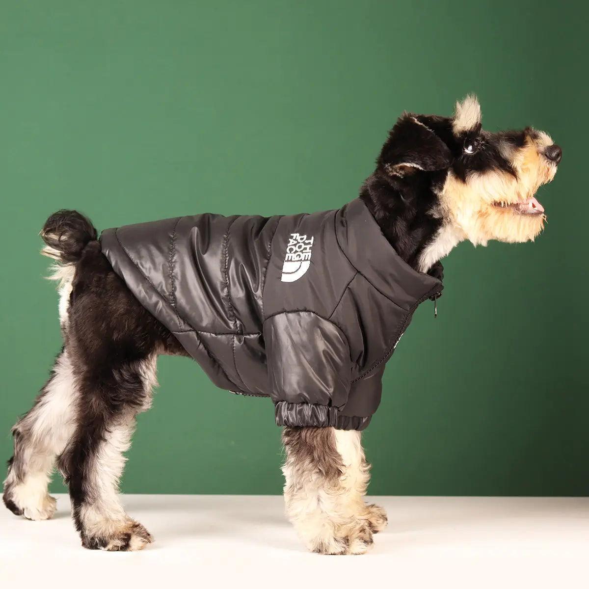 Warm Windproof Winter Dog Clothes - BelleHarris