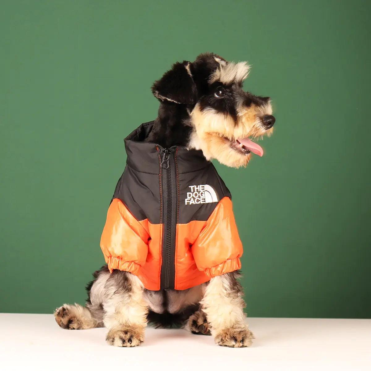 Warm Windproof Winter Dog Clothes - BelleHarris
